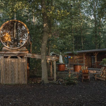 דרנטה Tinyparks Forest Cabins מראה חיצוני תמונה