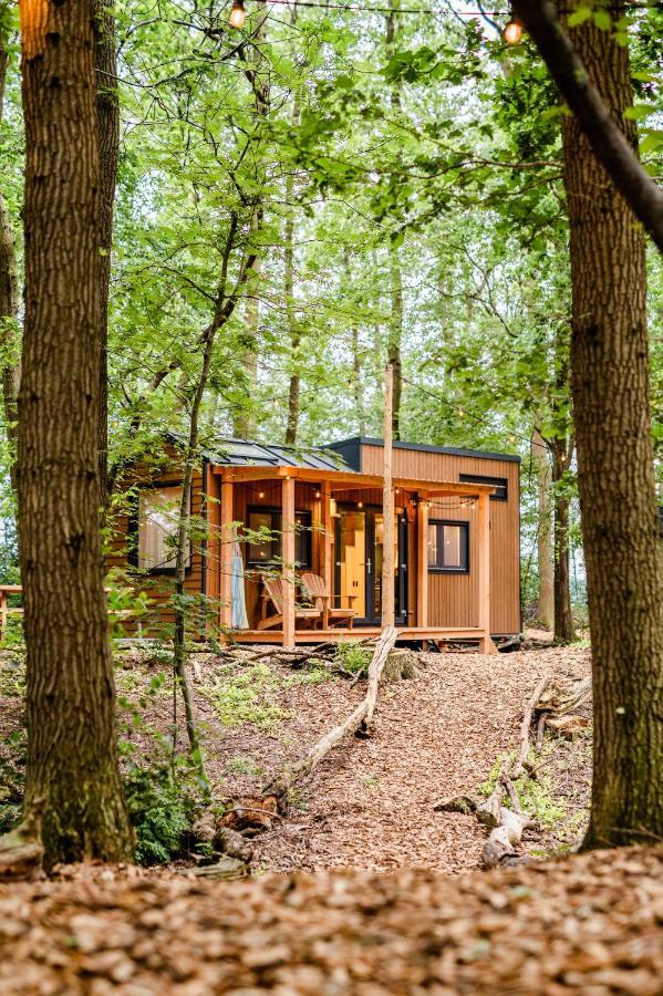 דרנטה Tinyparks Forest Cabins מראה חיצוני תמונה