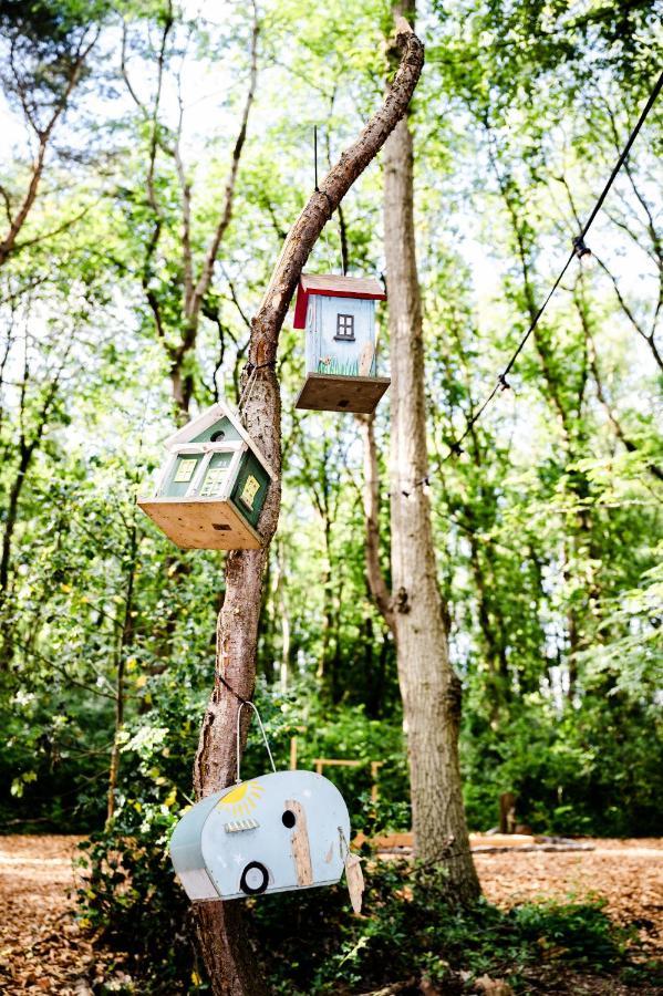 דרנטה Tinyparks Forest Cabins מראה חיצוני תמונה