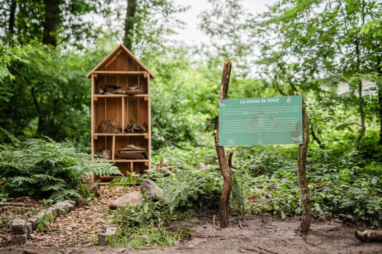 דרנטה Tinyparks Forest Cabins מראה חיצוני תמונה