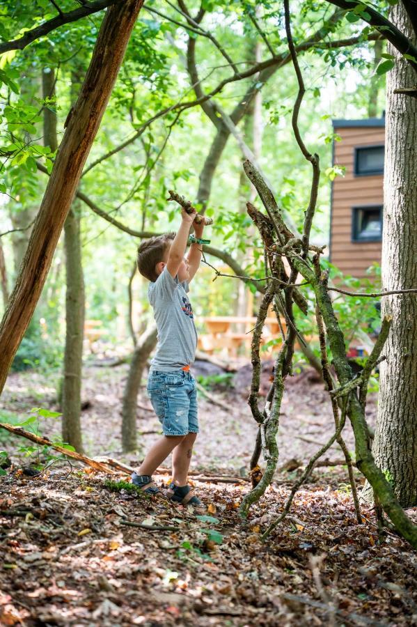 דרנטה Tinyparks Forest Cabins מראה חיצוני תמונה