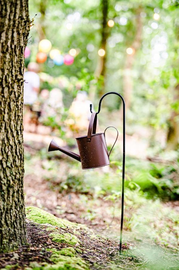 דרנטה Tinyparks Forest Cabins מראה חיצוני תמונה