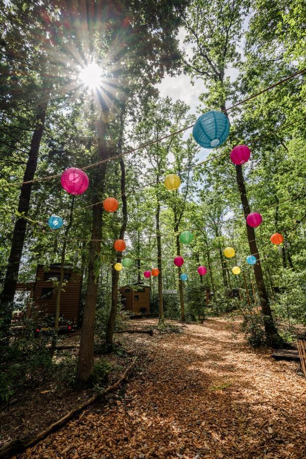 דרנטה Tinyparks Forest Cabins מראה חיצוני תמונה